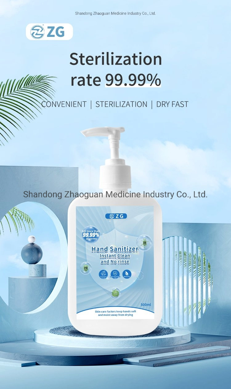 Wash Free Instant Hand Sanitizer Gel Made in China